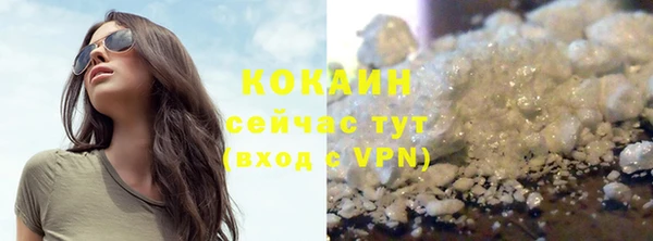 соль ск Инсар