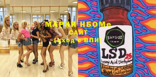 соль ск Инсар