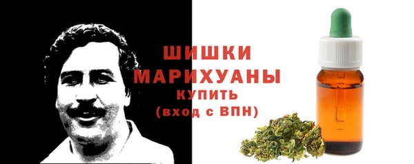 соль ск Инсар