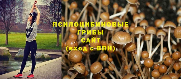 соль ск Инсар