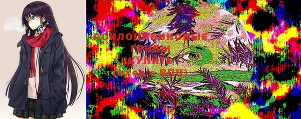 соль ск Инсар