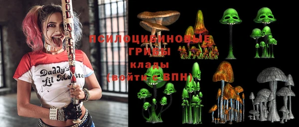 соль ск Инсар