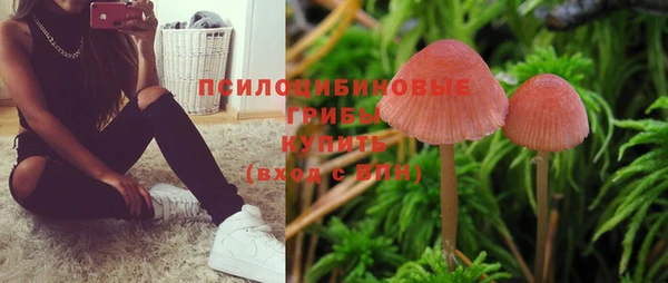 гашиш Инта