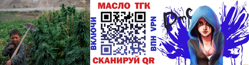 ТГК концентрат  Купить  Судак 