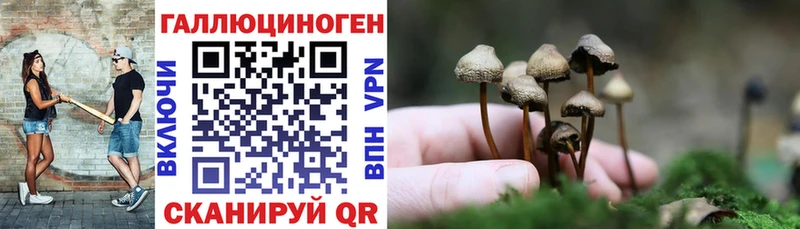 Псилоцибиновые грибы мухоморы  Купить закладки  Судак 